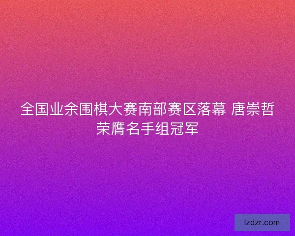全国业余围棋大赛南部赛区落幕 唐崇哲荣膺名手组冠军